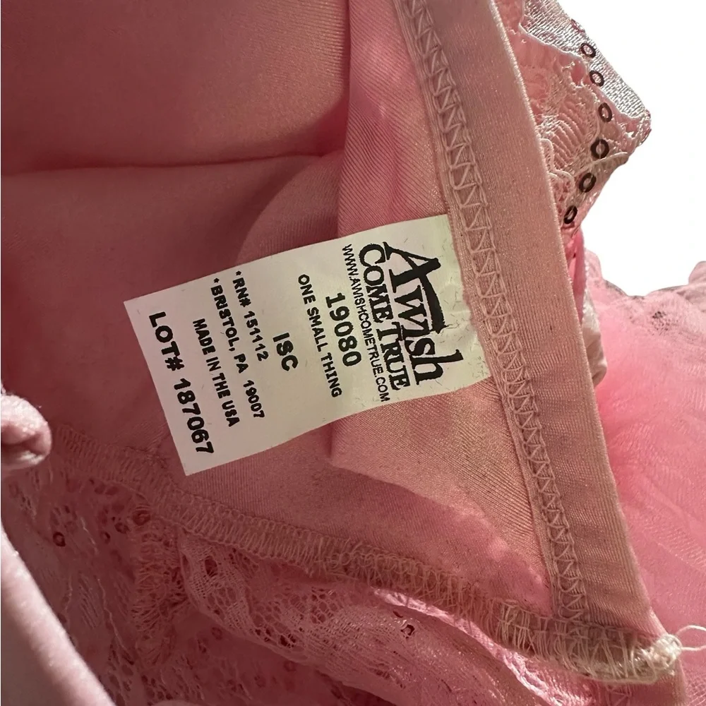 A Wish Come True Pink Lace and Tulle Dress with Sequins
